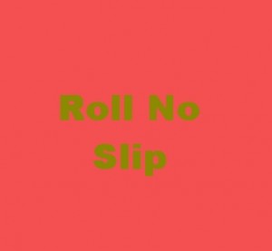 Roll No Slip 