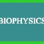 Biophysics Definition, Jobs, Career, Scope, Required Skills & Nature of Work